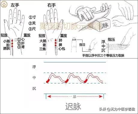 孕脉怎么把图解图片